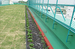 Construction example: Curb for a flower bed