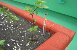 Construction example: Close-up photo of the curb of a flower bed