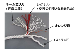 構成詳細